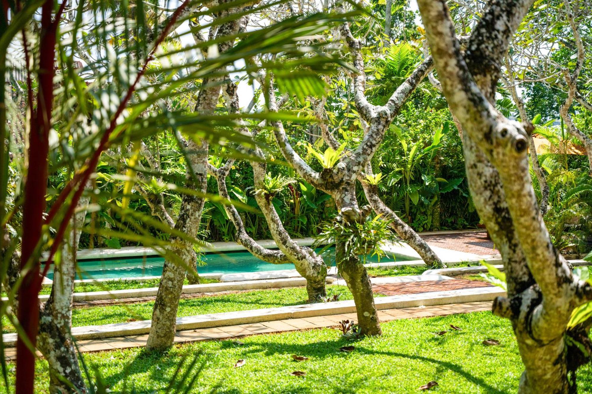 The Sun House Otel Galle Dış mekan fotoğraf